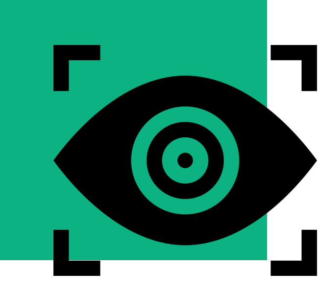Custom Surveillance Solutions
